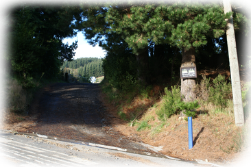 Woodhigh Farmstay Wellington New Zealand