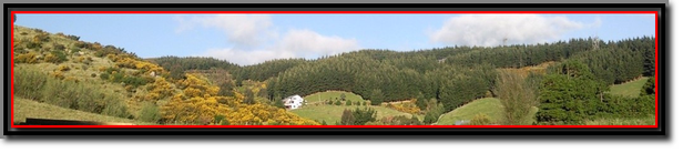 Woodhigh farmstay Homestay family holiday accomaodation